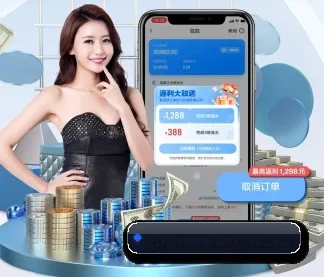 国际化进程（cctv）